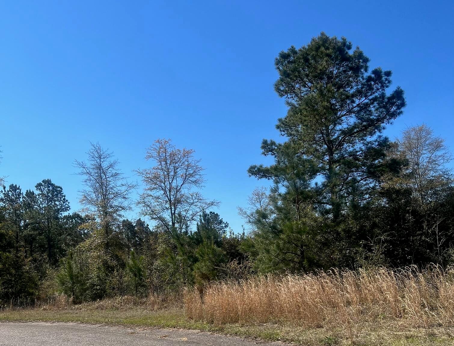 0 Ash Ln E1, Williston, SC 29853 MLS 205854 Zillow