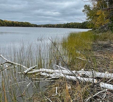 2nd image of .72 Acres Loon Lake Rd