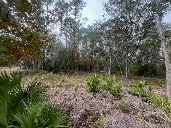Robin Lot 20, Interlachen, FL 32148