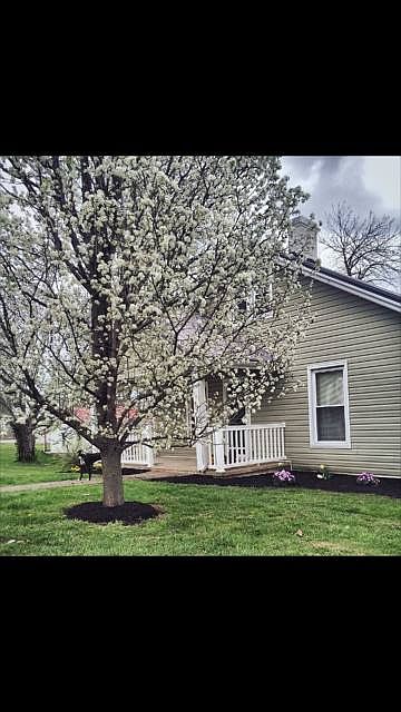 645 Beaumont Ave Harrodsburg KY 40330 Zillow