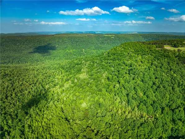 Off Of 16 Hwy, Witts Springs, AR 72686