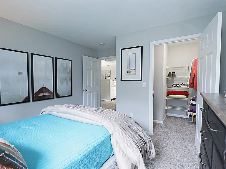 Bedroom with walk-in closet