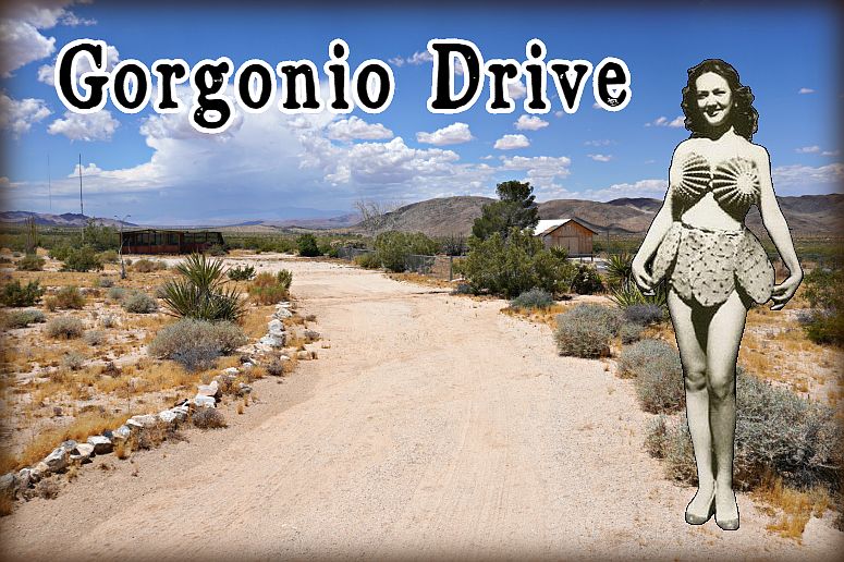 1st image of 69090 Gorgonio Dr