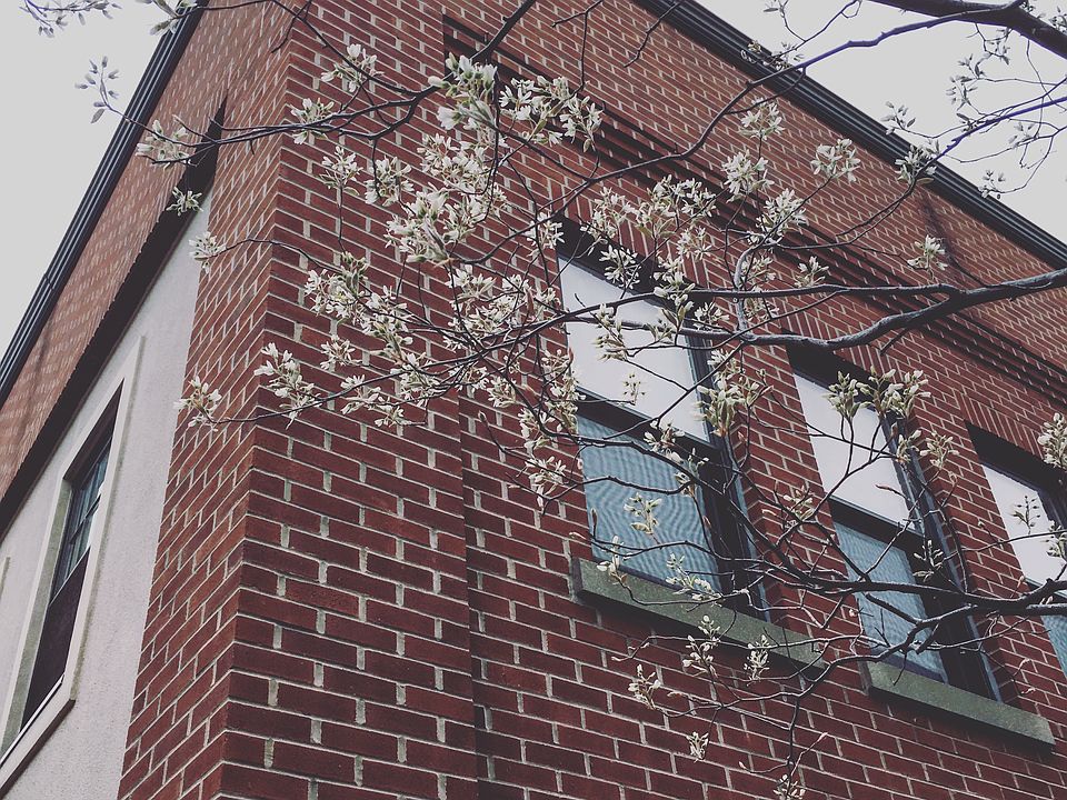 1st image of 133 Walton St APT 128