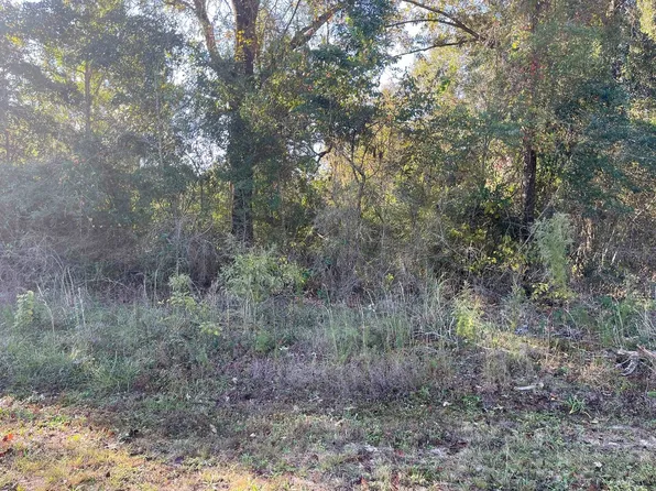 Lots 7 & 8 3rd Ave, Florala, AL 36442