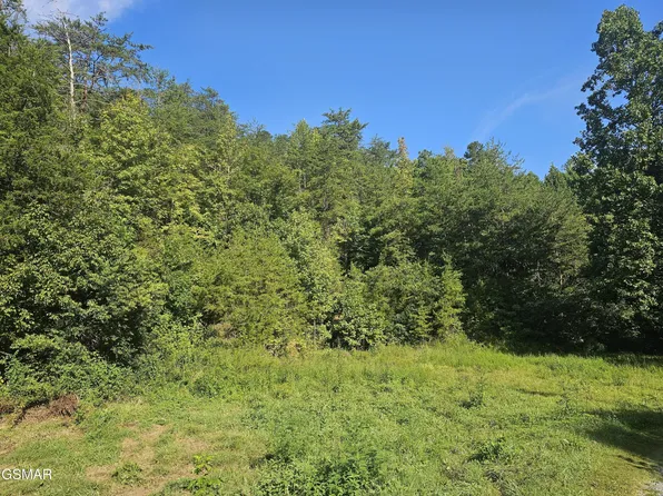 3 Franklin Dr Lot 3, Sevierville, TN 37862