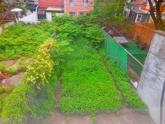 Rented by Brooklyn IQ Properties Inc | media 24