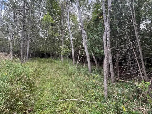LOT 19 Crane St, Boyne City, MI 49712