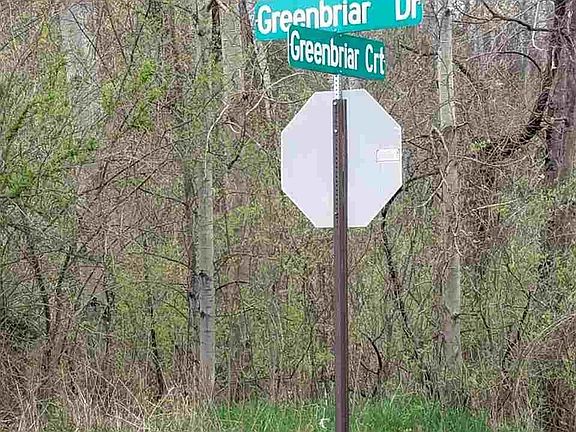 3rd image of 11858 Greenbriar Dr