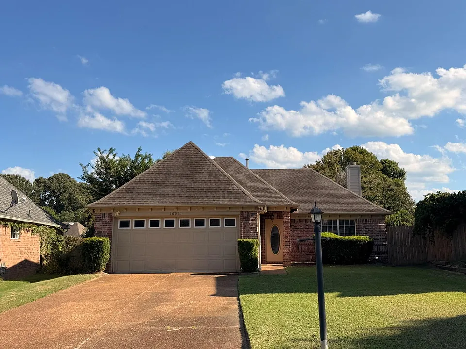 10061 Woodland Pine Cv E