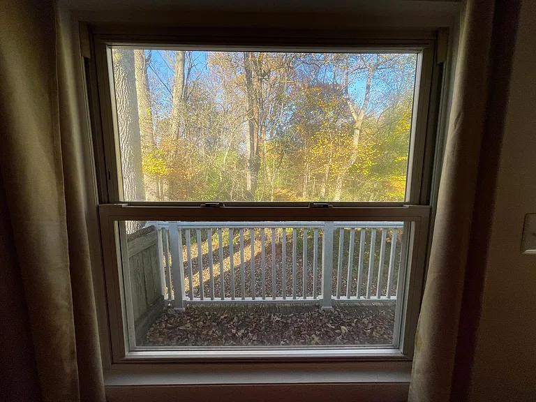 View from one of the Living Room Windows.