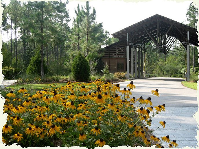 1st image of 6705 Egret Pond Ln