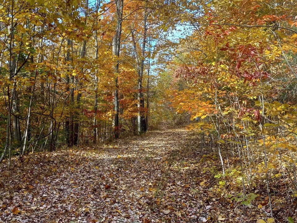 2nd image of 1237K High Rock Rd