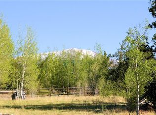 166 Sawmill Ln, Fairplay, CO 80440