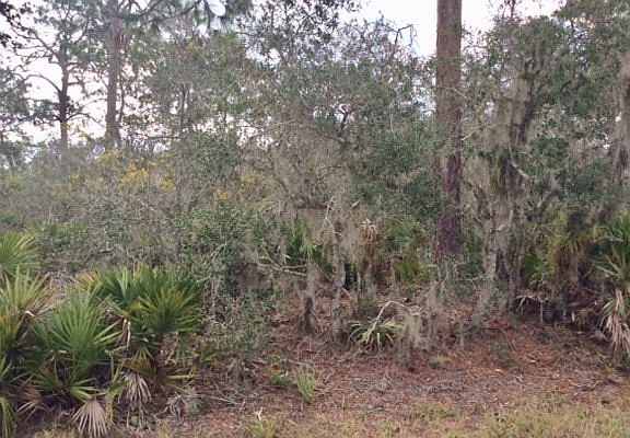 5th image of 1162 Lake Hill Dr
