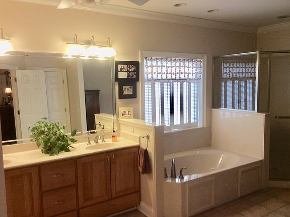 Master bathroom 