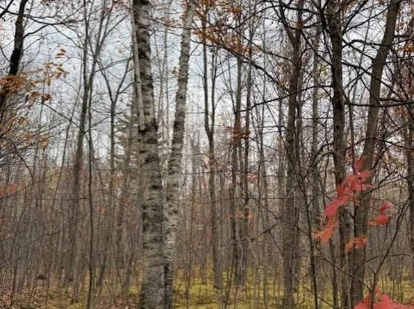 Lot 10 Silver Birch Drive, Cable, WI 54821