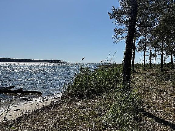 2nd image of LOT Live Oak Dr
