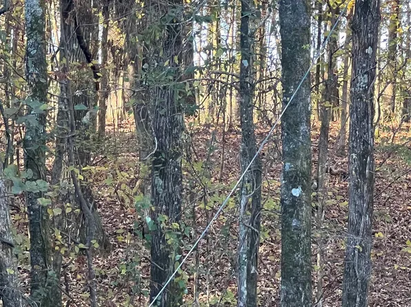 Xx Wornick, Glenwood, AR 71943