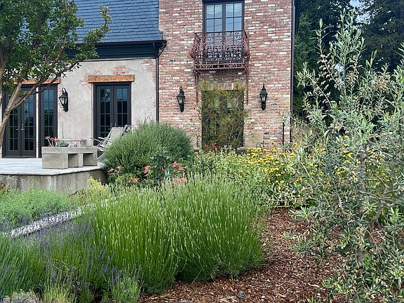 Back Patio