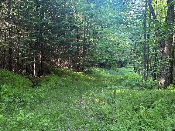 5th image of 0 Roaring Brook Road