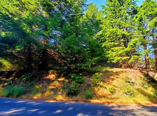 243 Debbie Ln, Whitethorn, CA 95589