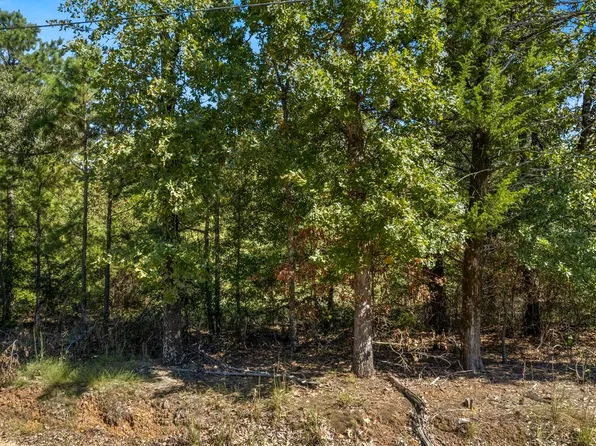 Tbd Cr 4120, Pittsburg, TX 75686
