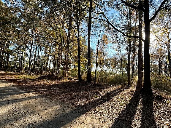 5th image of 0 Oak Ln