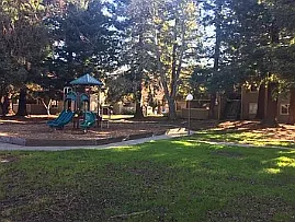 3348 Red Cedar Ter — Photo 9