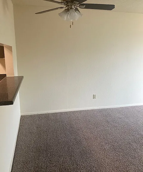 Casa Caribe Apartments — Photo 2