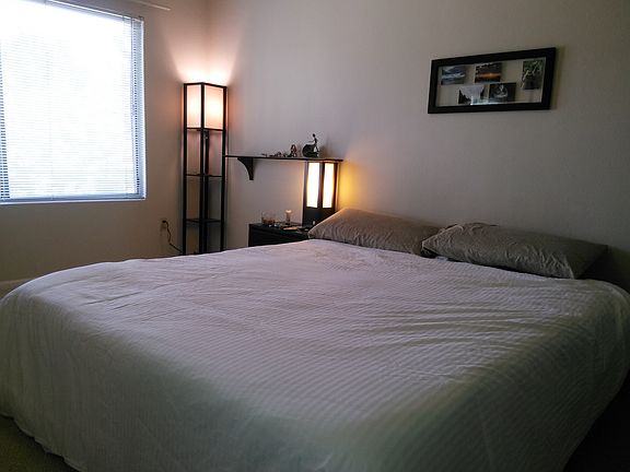 Downstairs bedroom