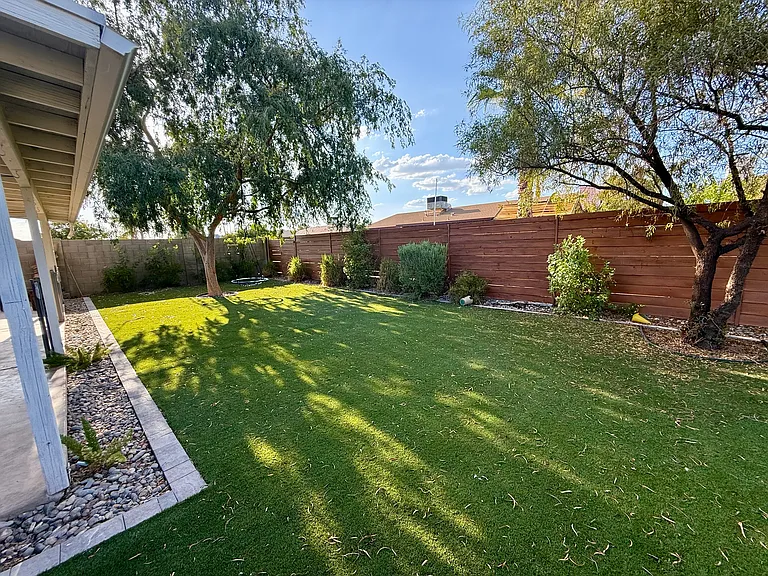 Backyard
