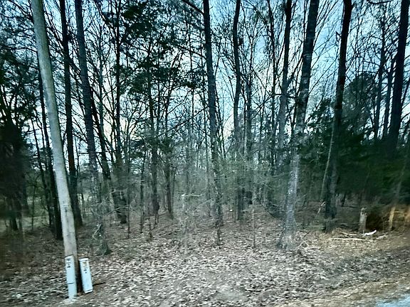 4th image of Little Coontail Rd