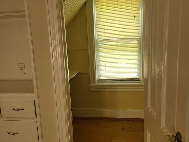 Living room has an extra closet.