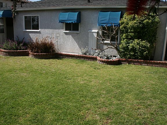 Sunny backyard