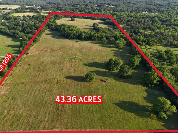 County Road 1205 Rd, Savoy, TX 75479