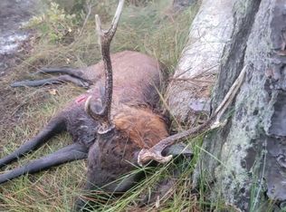 0 Cedar Creek Rd, Crapo, MD 21626