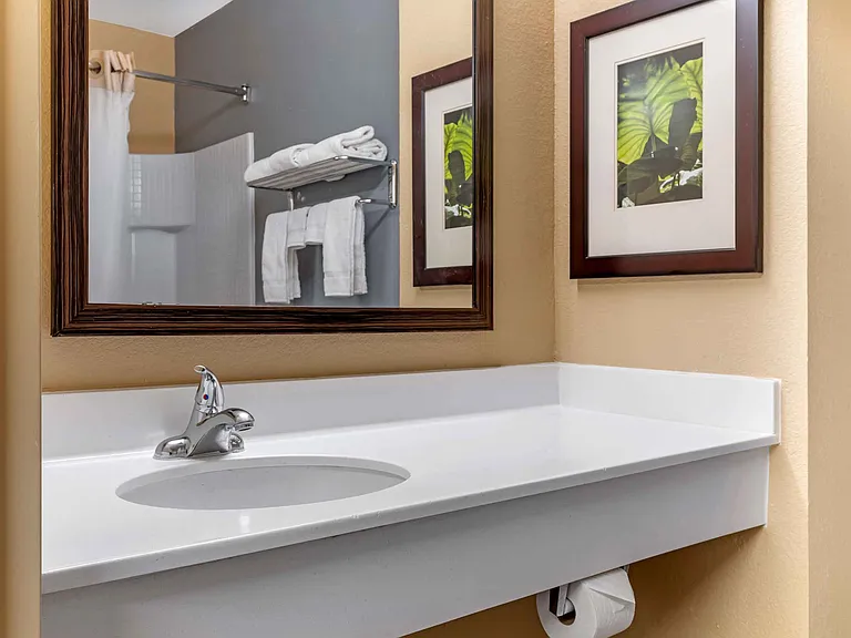 Studio Suite - 2 Full Beds