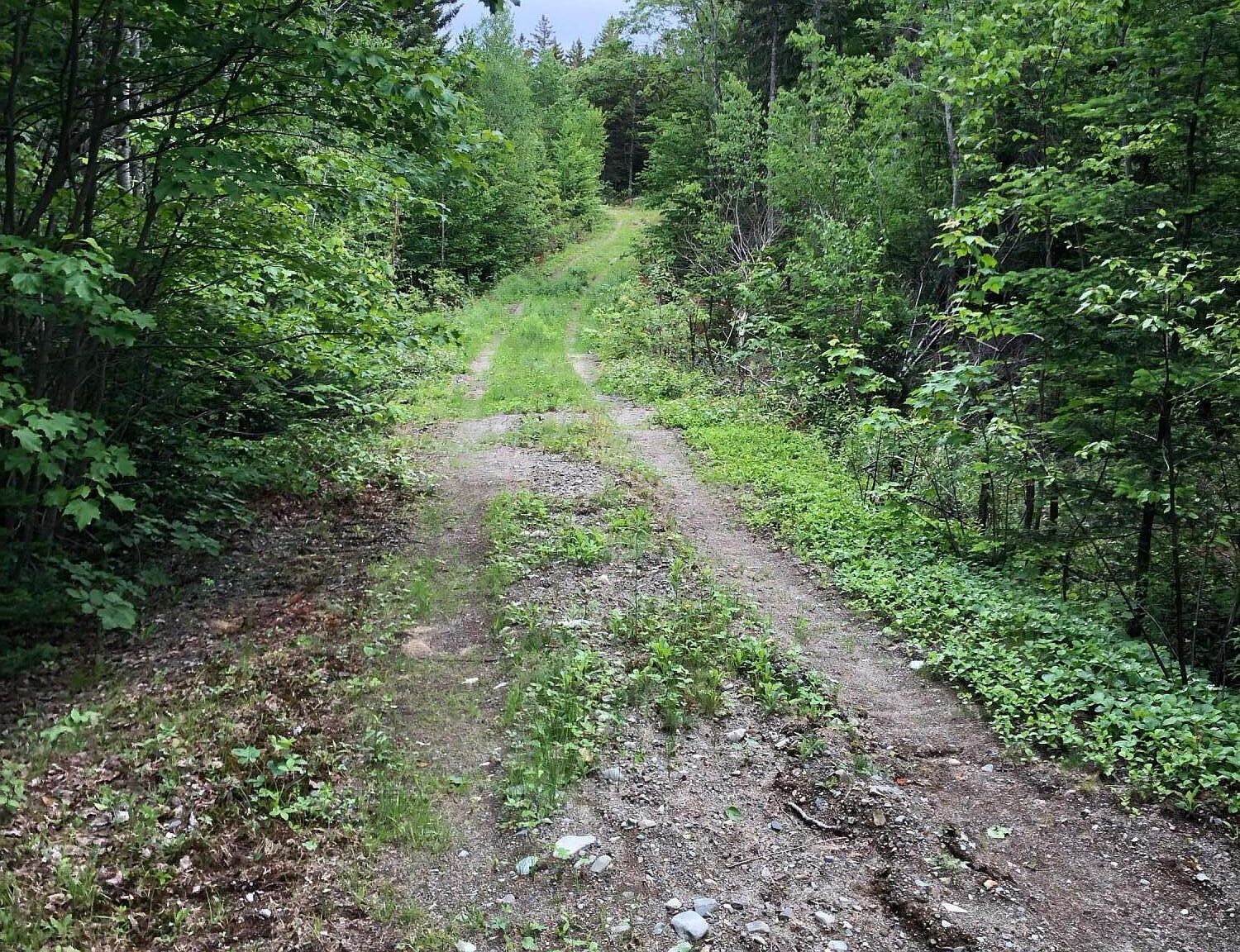 L23M5 US Route 1 Lot 23, Whiting, ME 04691 Zillow