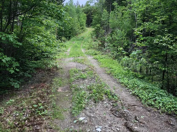 L#23M#5 US Route 1, Whiting, ME 04691