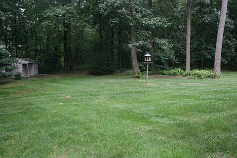 View from deck