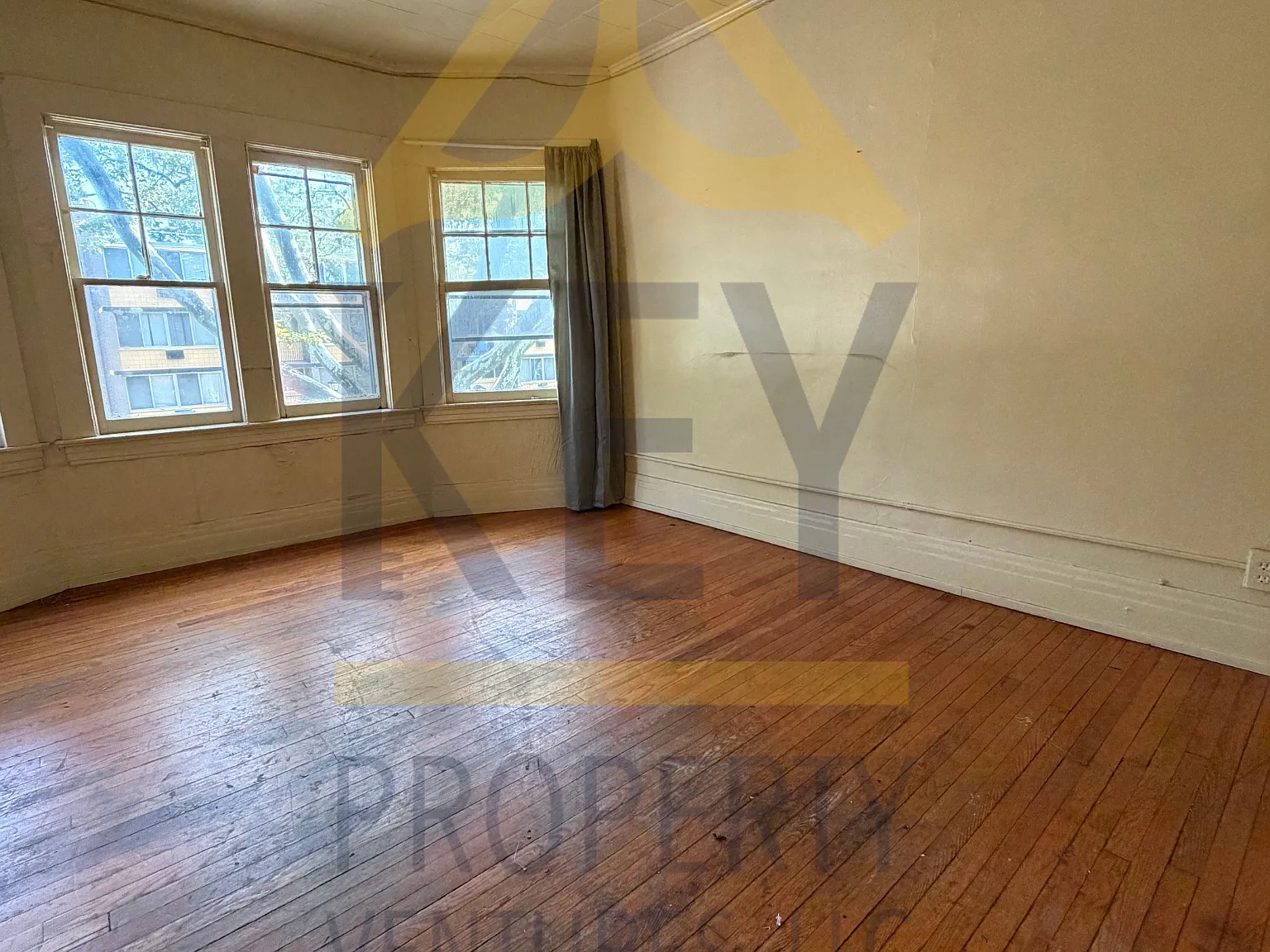 20 Clay Avenue - 1 — Photo 3
