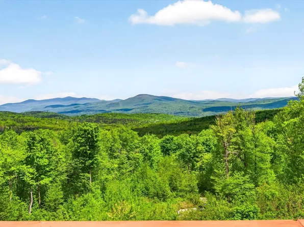 680 Government Road, Mount Holly, VT 05758