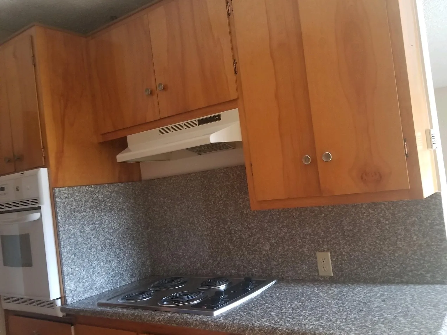1 bed, 640 sqft, $950 — Photo 3