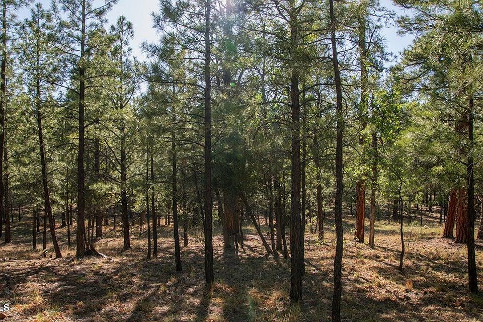 1st image of 2535 WOODY PINE Drive #87