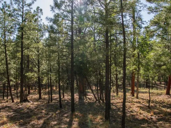 2535 WOODY PINE Drive #87, Happy Jack, AZ 86024