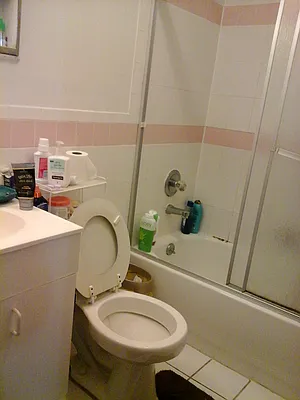 Rented by 18 REALTY | media 9