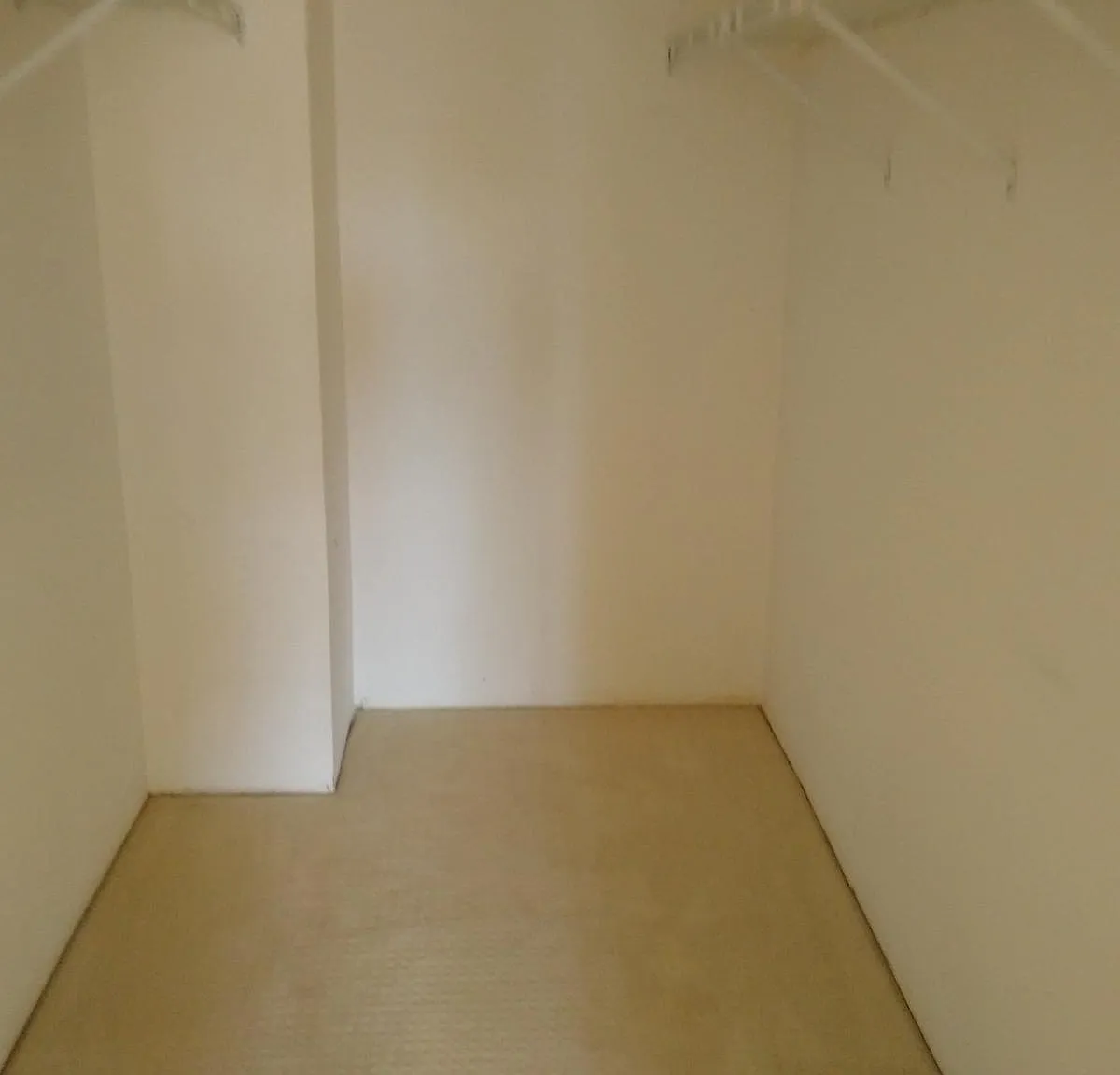 2 bed, 1264 sqft, $3,000 — Photo 3