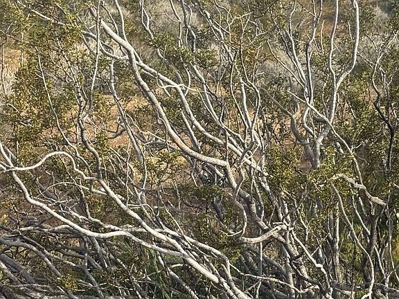 5th image of Freeman Rd