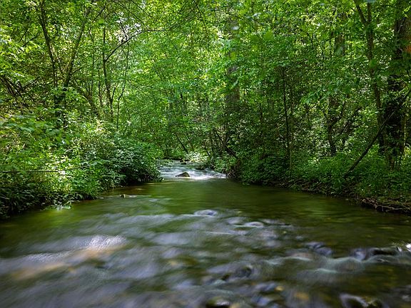 54th image of 740 Little Rock Creek Rd